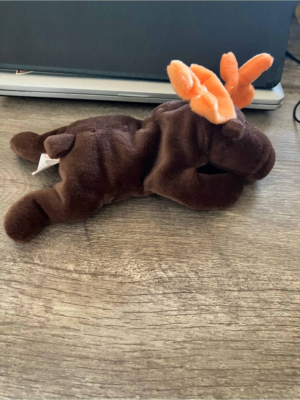 Ty Beanie Baby. Chocolate